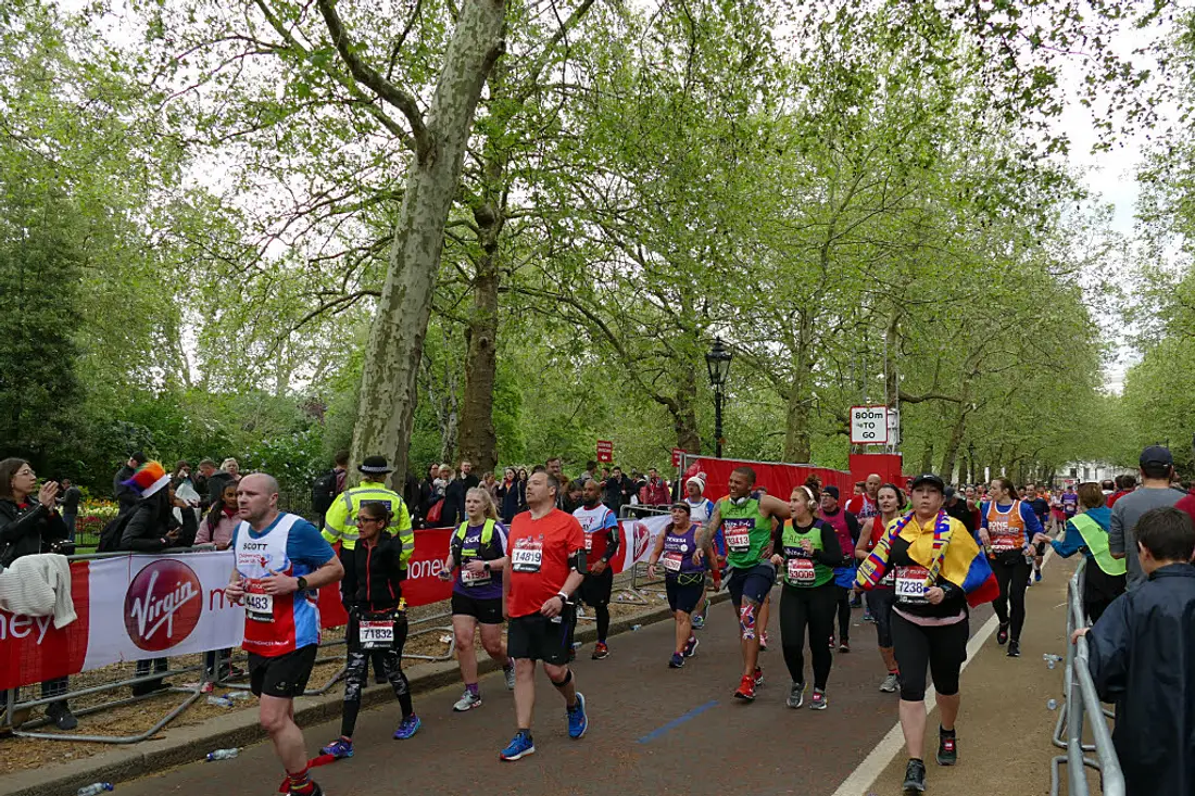 Runners in a road marathon wearing race bibs, running along a tree-lined city street past spectators