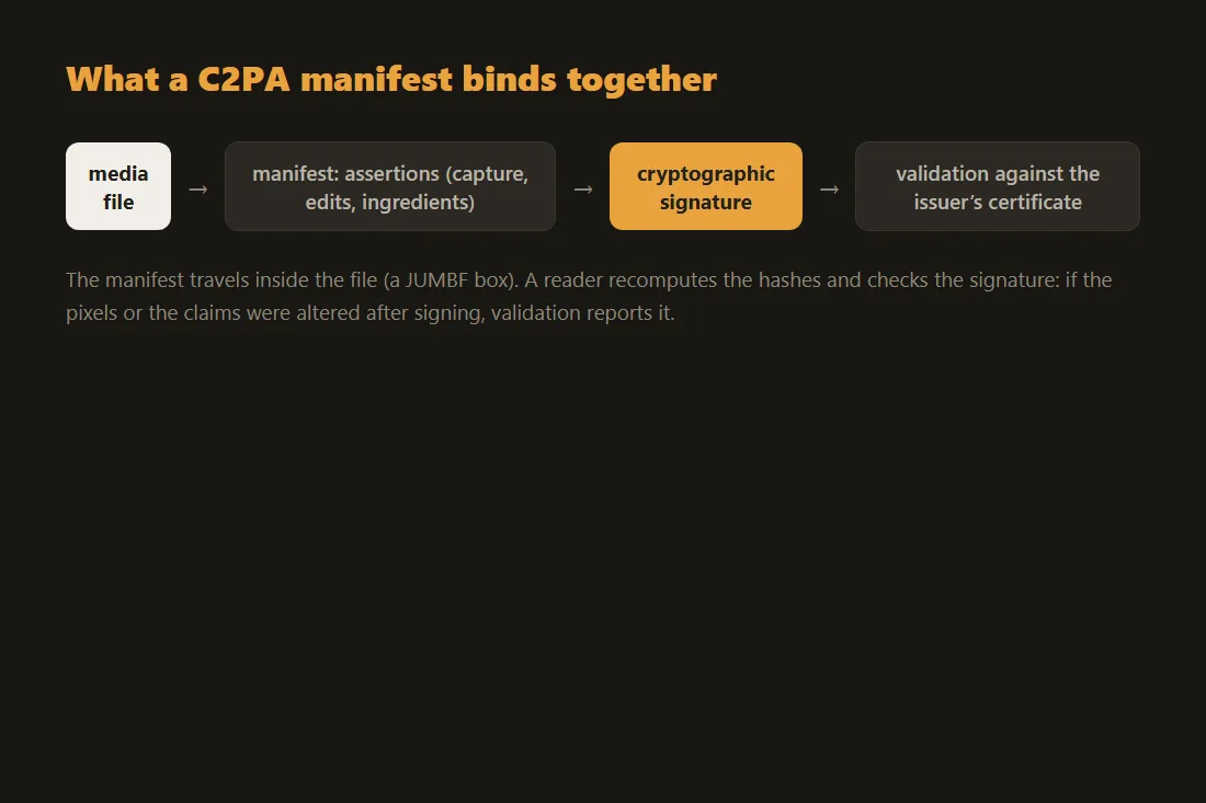 Chain of a C2PA manifest: media file, manifest with assertions, cryptographic signature, then validation against the issuer certificate