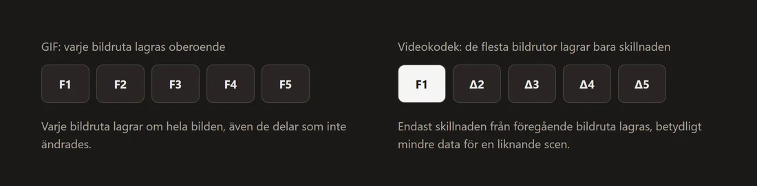 Diagram som kontrasterar GIF, som lagrar en fullständig oberoende bild per bildruta, med en videokodek, som lagrar de flesta bildrutor som skillnaden från föregående.