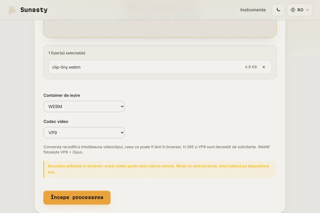 Convertorul video cu un MP4 incarcat si WebM plus VP9 selectate ca optiuni de iesire