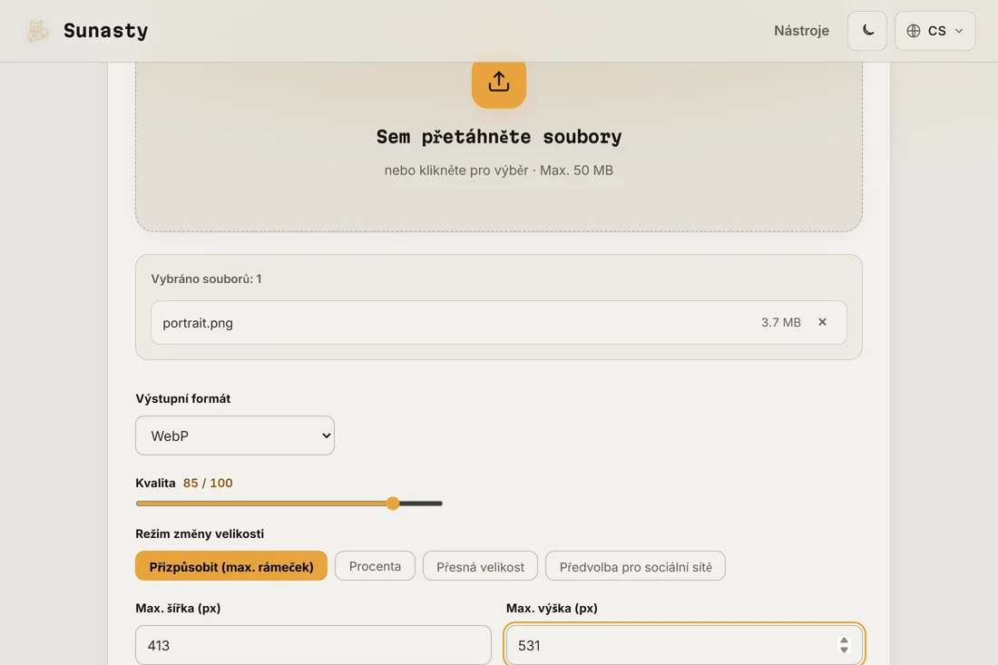 Nástroj pro změnu velikosti obrázku s načtenou portrétní fotkou a zadanými výstupními rozměry 413 na 531 pixelů