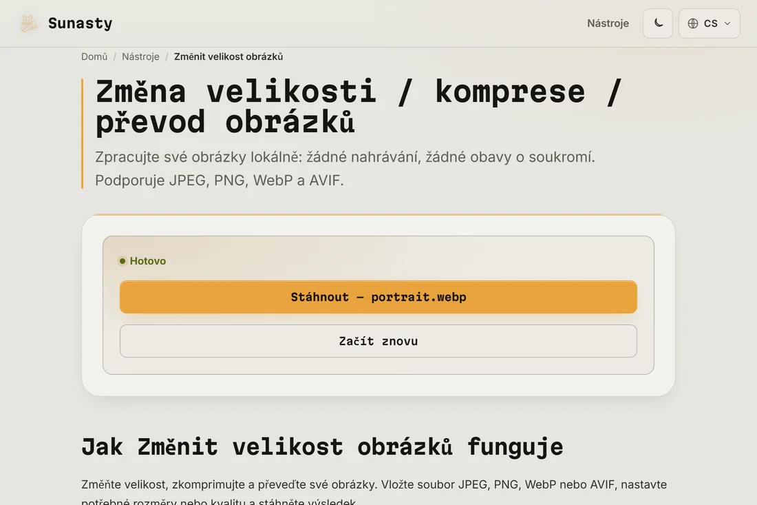 Zmenšená fotka na pas připravená ke stažení ve správných rozměrech