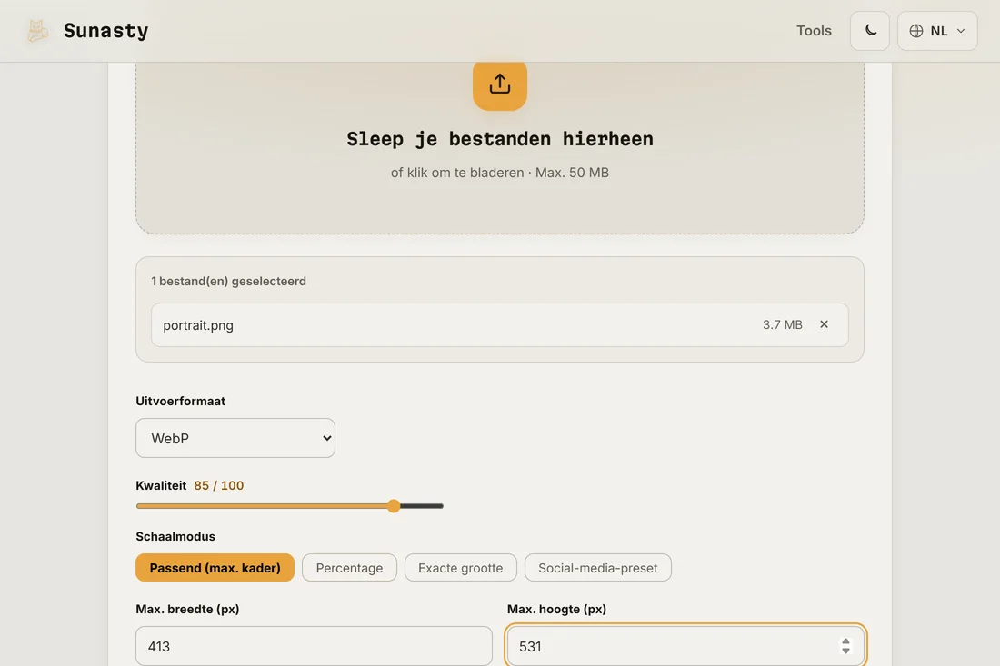 De afbeeldingsschaler met een portretfoto geladen en 413 bij 531 pixels ingevuld als uitvoerafmetingen